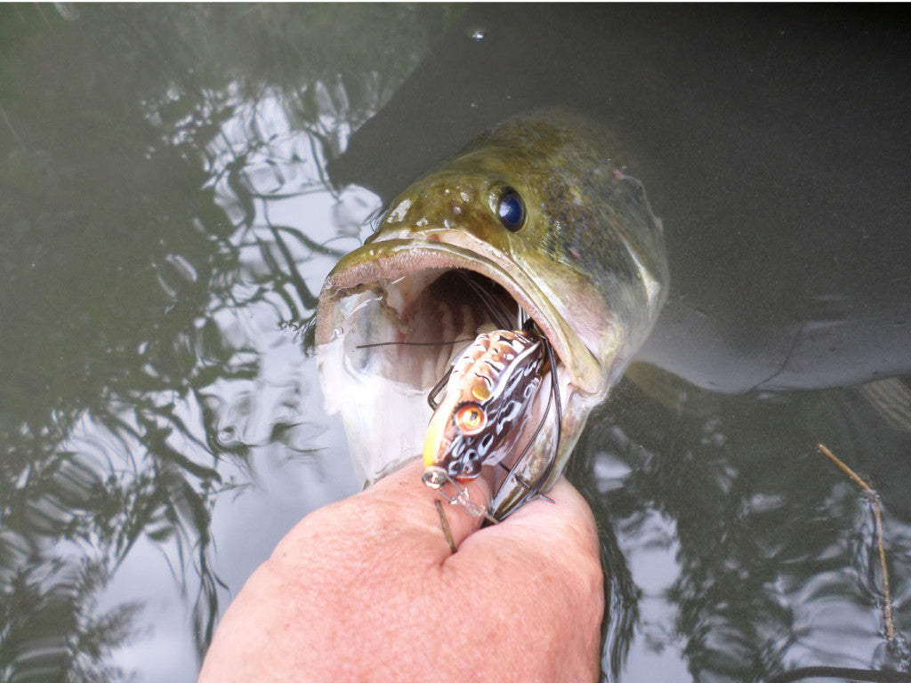 Top 10 Bass Lures and Lakes - Main Image