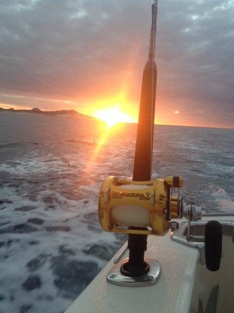 Inshore vs Offshore Fishing Rods: Key Differences Explained Inshore vs Offshore Fishing Rods: Key Differences Explained