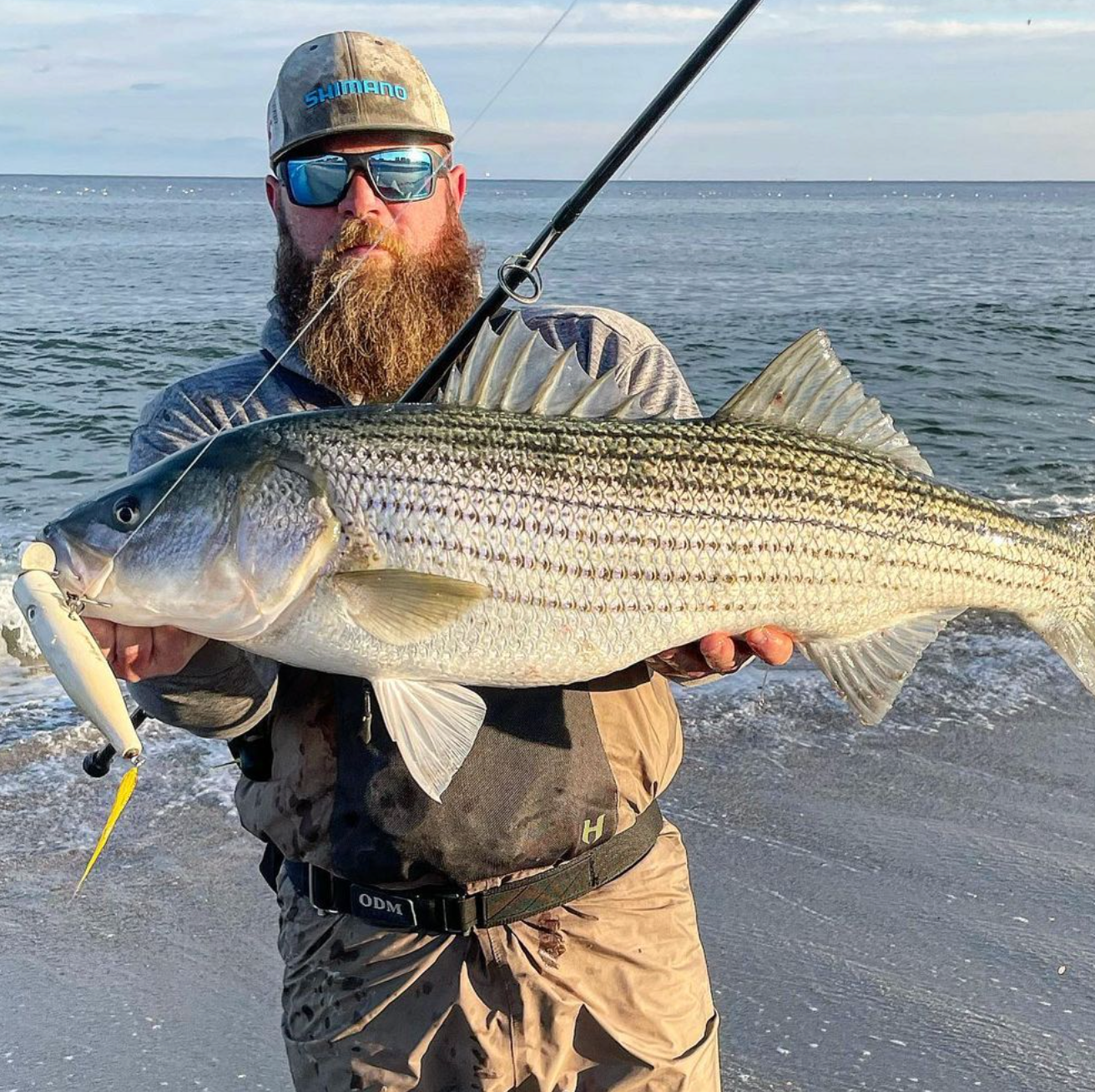Fishing “Peanut” Bunker Blitzes in the Surf By Nick Criaris
