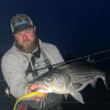 Throw Your Logs Out The Window: Striped Bass By Nick Criaris