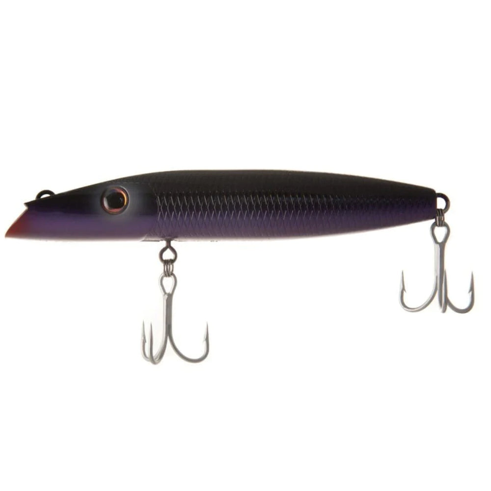 Northbar Montauk Darter