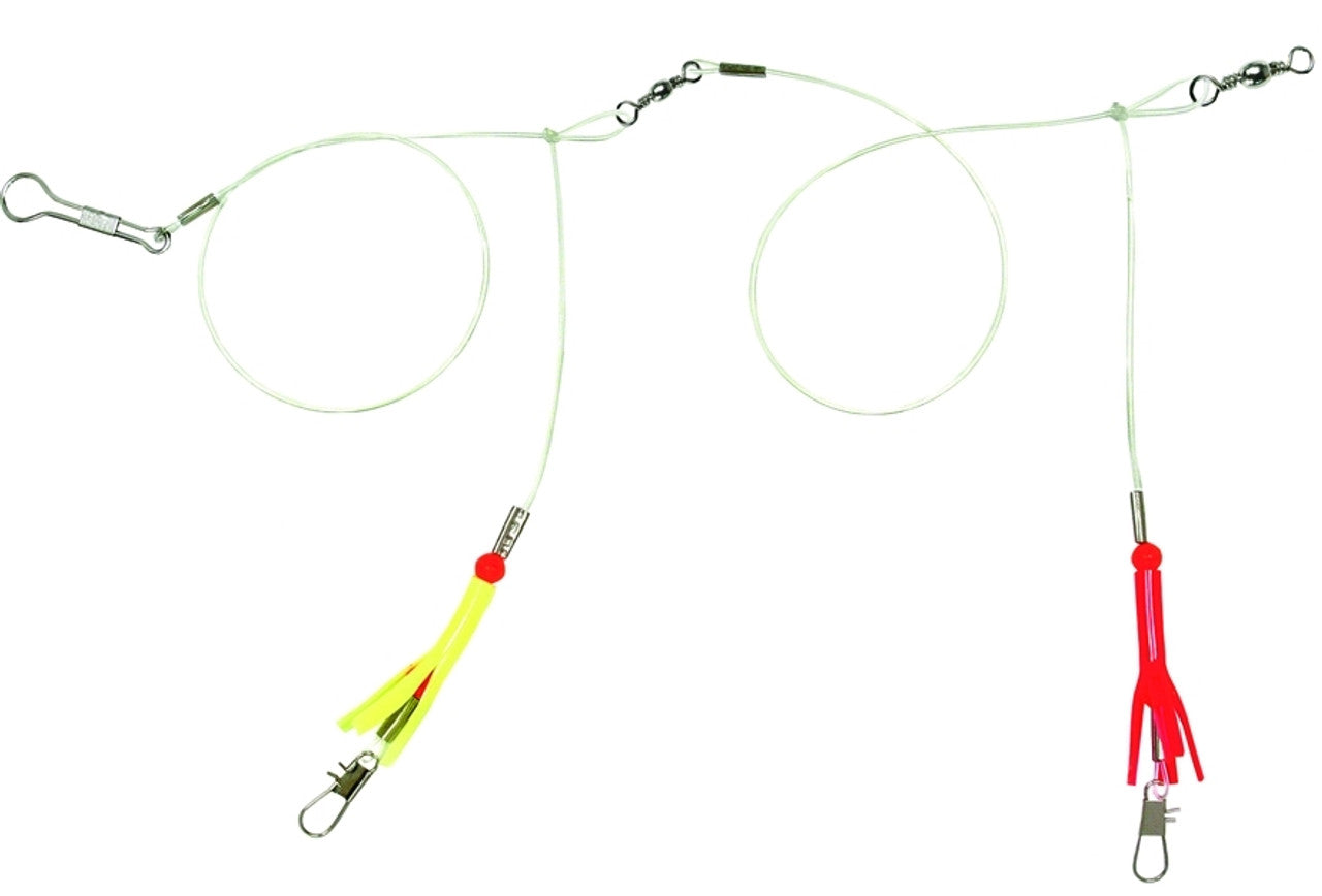  Bottom Rigs For Saltwater