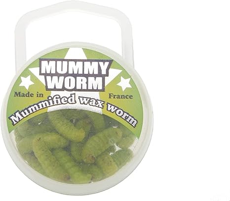 Eurotackle Mummy Worm Preserved wax worms, Chartreuse, 35+/pack