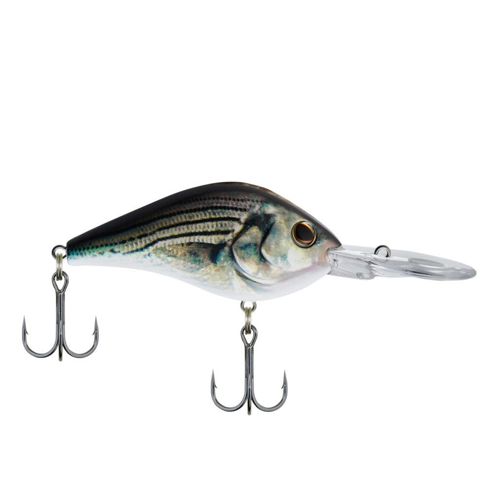 berkley crankbait hard fishing lures Berkley Dredger, Weighted Bill, Deep Diver Crankbait (Assorted Sizes a