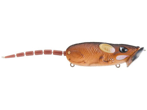 Brown / 2 1/2"