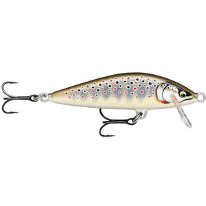 Gilded Brown Trout / 75