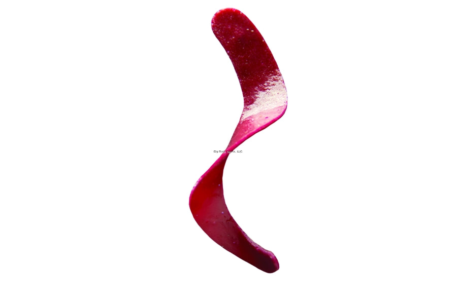 Otter Curly Short Tails Lure, 5", 1.9 Oz, Red 10/Jar