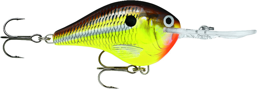 Rapala Dives-To 10 Crankbait, 2 1/4", 3/5 oz, Floating
