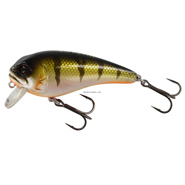 Westin FatBite Floating Crankbait, 2 1/8", 5/16 oz, Bling Perch
