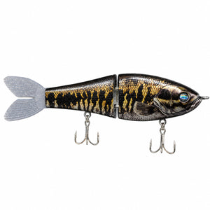 Suwannee Bass