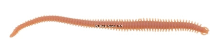 Berkley Gulp! Sandworm (6", 10pk)