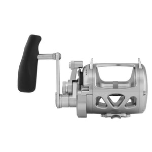 INT30VIWS - Silver