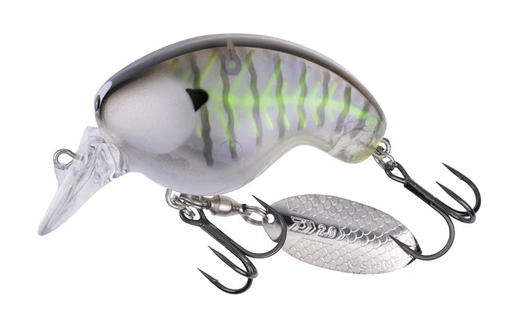 Daiwa Mr Fortune 01