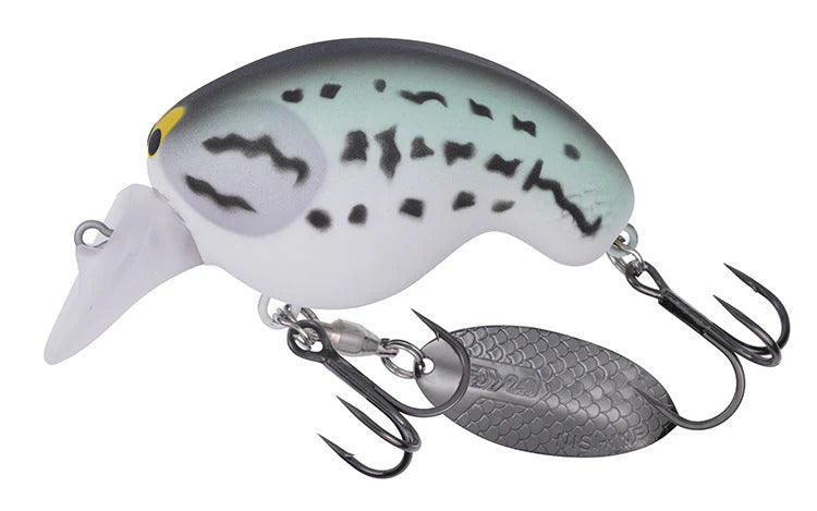 Daiwa Mr Fortune 01