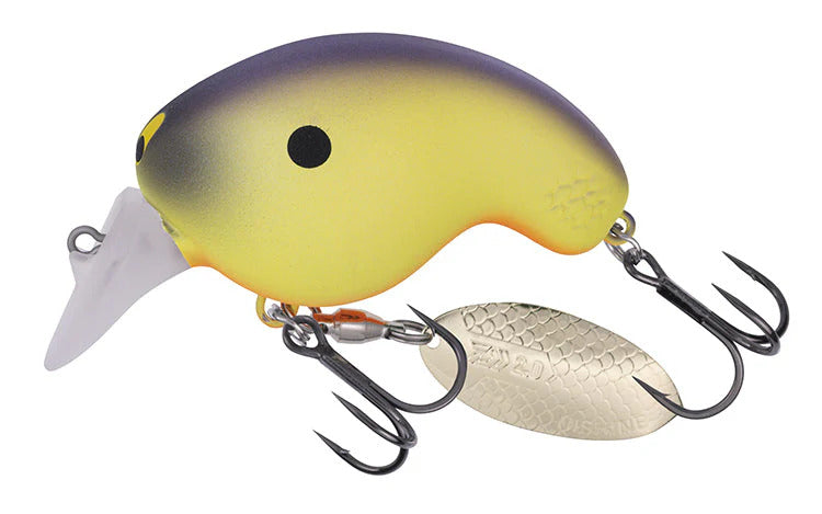 Daiwa Mr Fortune 01