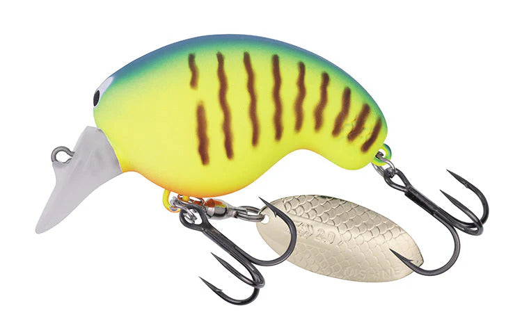 Daiwa Mr Fortune 01