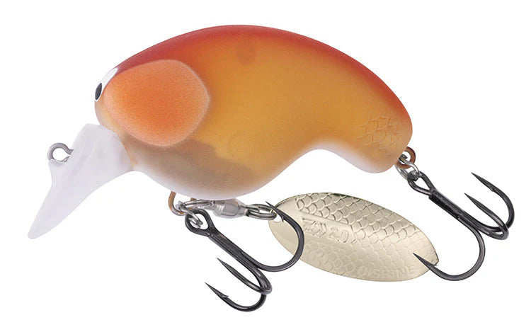 Daiwa Mr Fortune 01