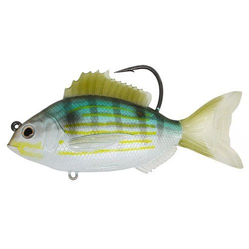 Live Target Saltwater Pinfish Swimbait