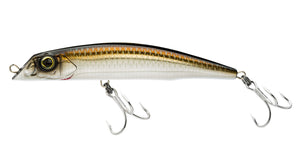 HRSN - Bronze Shiner / 6 1/2"