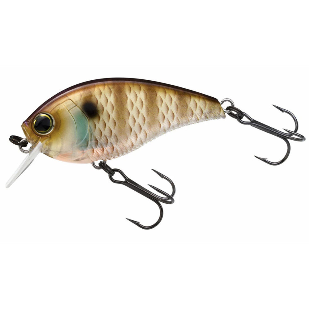 Yo-Zuri 3DB Crank 1.5 Squarebill (F) 60mm 2 3/8"