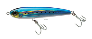 Sardine / 5 1/2"
