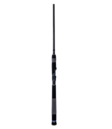 Phenix M1 Inshore Spinning Rods