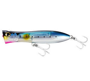 Sardine