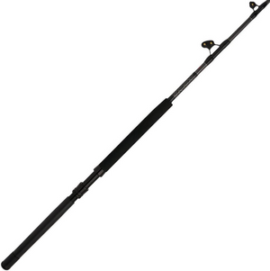 ALLYBWII3050C60AR