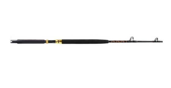 Star Rods EX3080C Aerial Stand-Up Conventional Rod 6' 1Pc MH 30-80Lb
