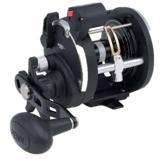 Penn Rival Level Wind Conventional Reels