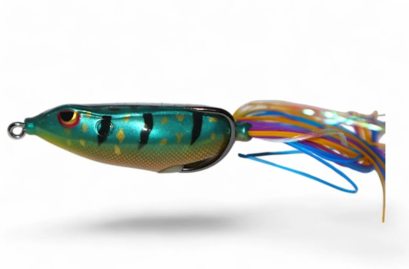 Gambler Walking Frog