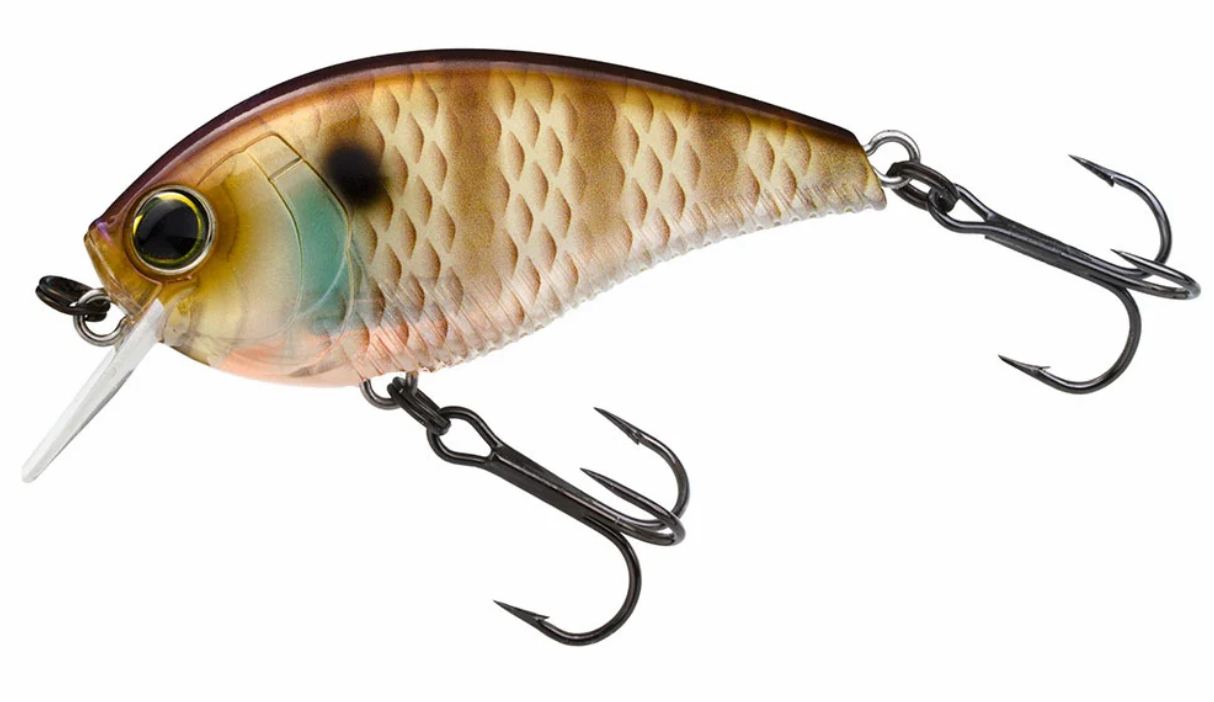 Yo-Zuri 3DB Crank 1.5 Squarebill (F) 60mm 2 3/8"