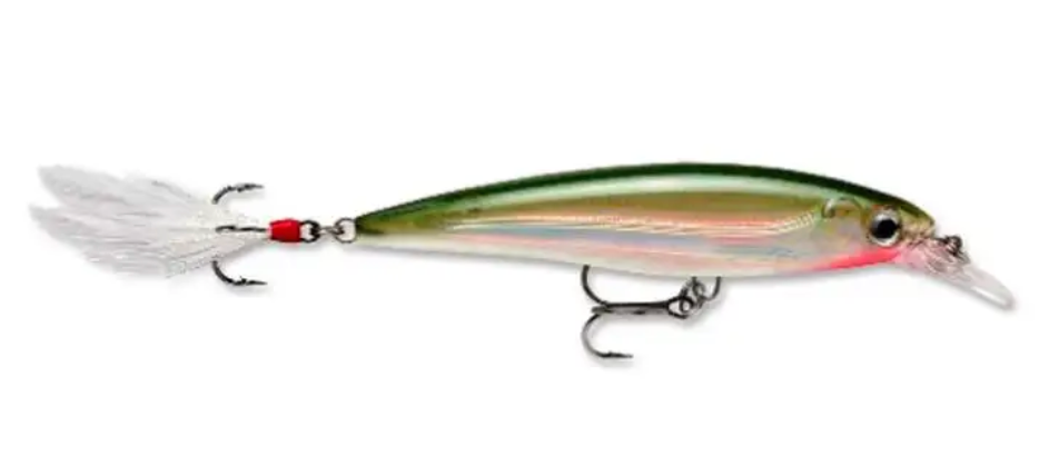 Rapala X-Rap Jerkbait, Suspending