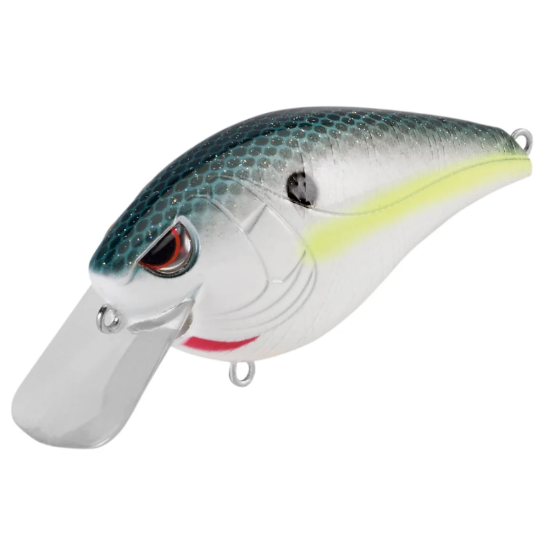 Spro Hunter 65 SB Shallow Diving Crankbait