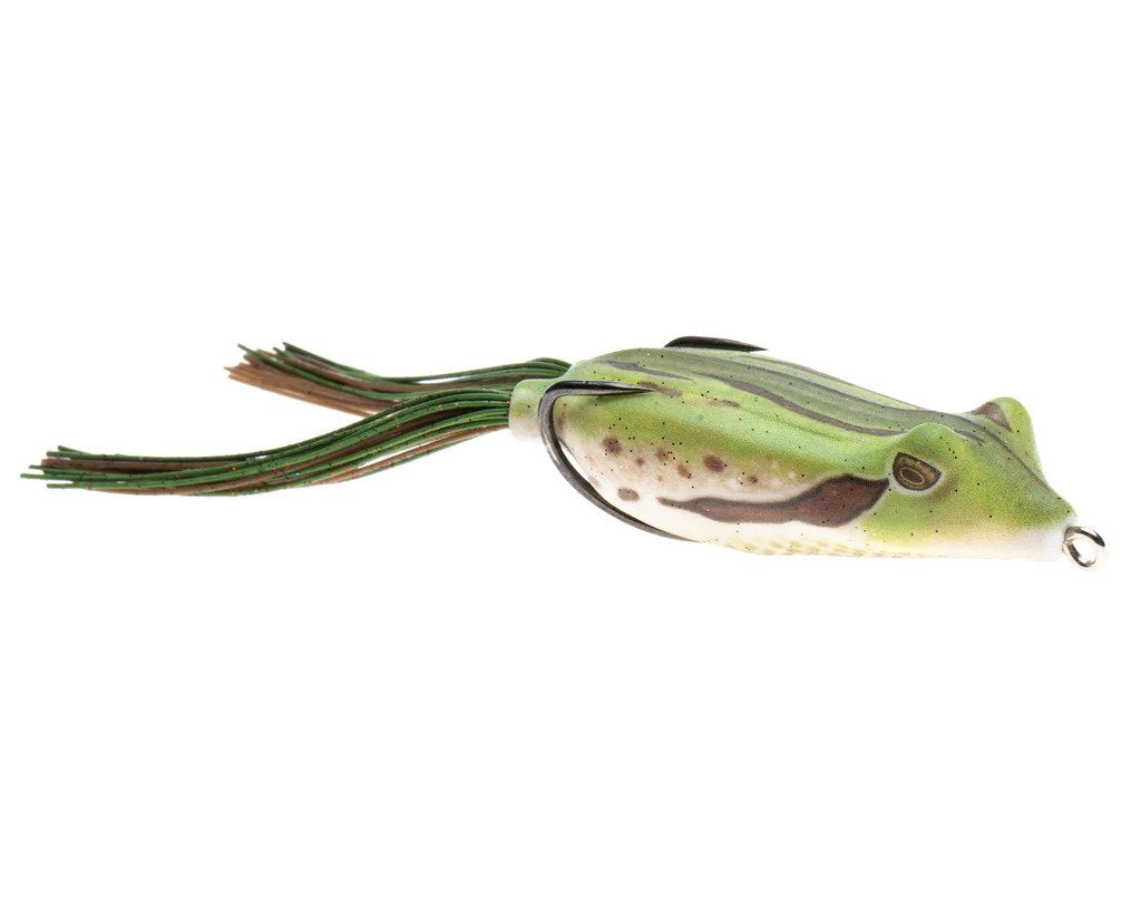 Scum Frog Phat Frog