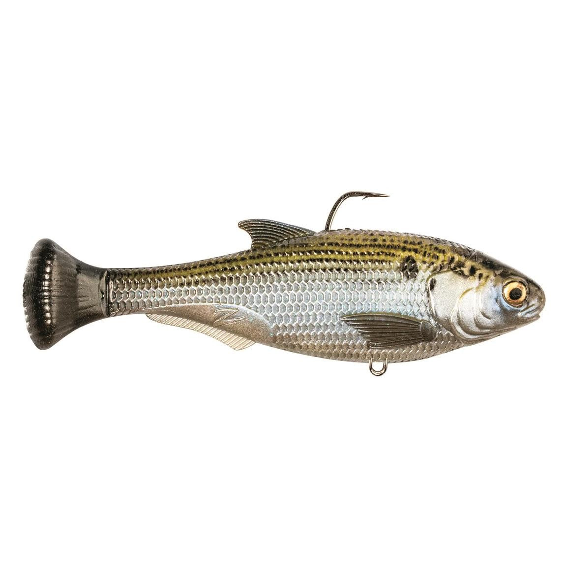 Z-Man Shadtron Lt 6" Fast Sink Mossback