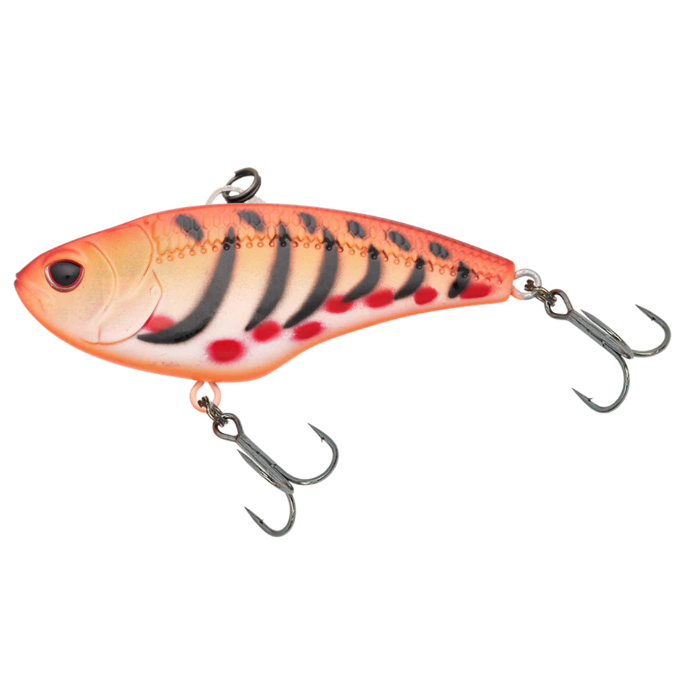 Nomad Swimtrex Max Vibe