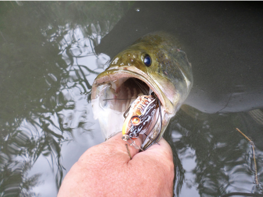 Top 10 Bass Lures and Lakes