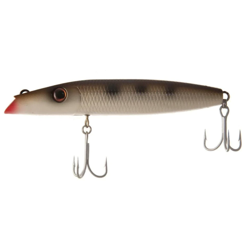 Northbar Montauk Darter