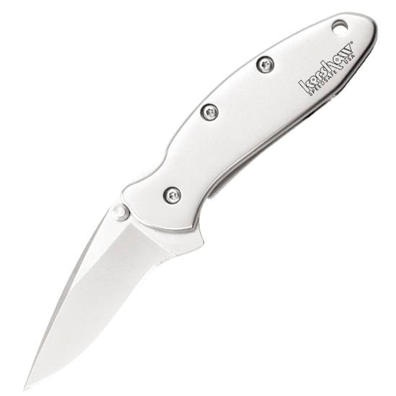 Kershaw Chive Assisted Opening Folding Knife, Blade, Stainless, Silver, 1.9"
