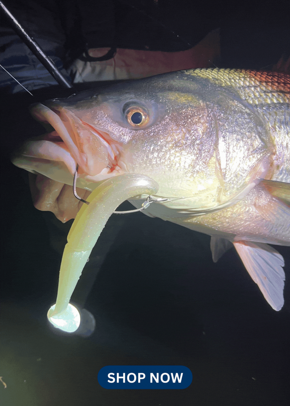 Big Catch Fishing Tackle - Fishman Jig Head