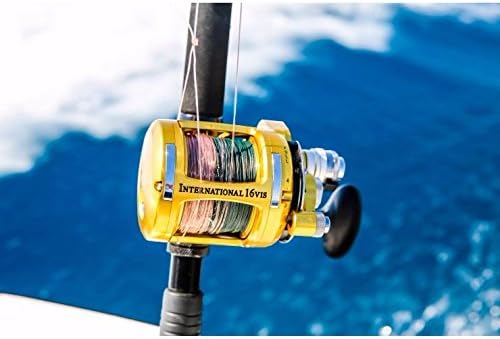 Penn International VIS 2-Speed Lever Drag Reels INT130VIS Penn International VIS 2-Speed Lever Drag Reels INT130VIS