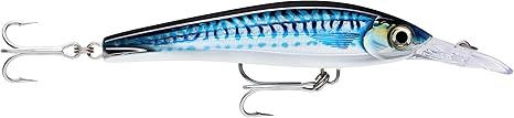 Rapala X-Rap Magnum XTreme 160, Floating-Diving, 6" Silver Blue Mackerel