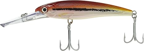 Rapala X-Rap Magnum 40' Divebait