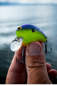 Lunkerhunt Dragonfly - Dasher