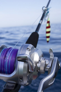 The Most Versatile Fishing Rod and Reel Setup
