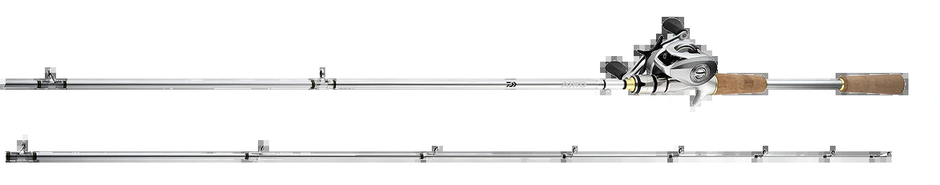 Daiwa Aird Baitcast Combo