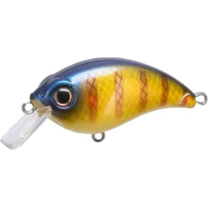 Bluegill / 1.5 (2-1/4in, 3-6ft)