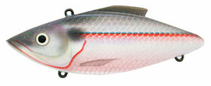 American Shad / 1/2oz