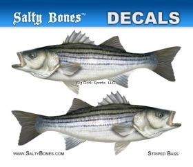 Salty Bones Decal Mini-Striped Bass Sticker